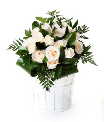 24 rosas blancas_bouquet-24-rosas-blancas