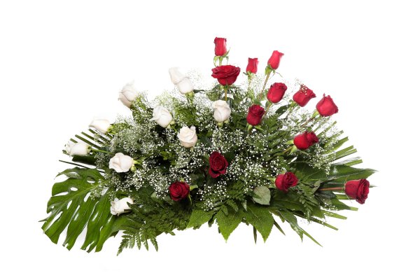 Palma flores modelo 8 S_8c