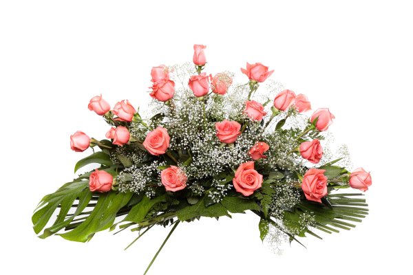 Palma flores modelo 8 U_8e